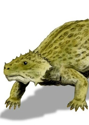 Anthodon