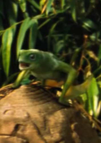 Anurognathus