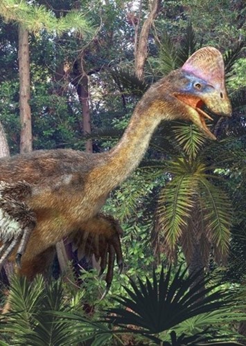 Anzu wyliei