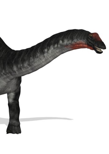 Apatosaurus