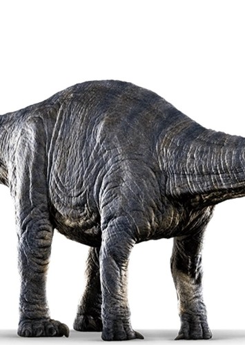 Apatosauruses