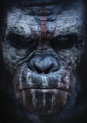 Koba