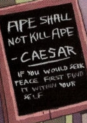 Ape Shall Never Kill Ape