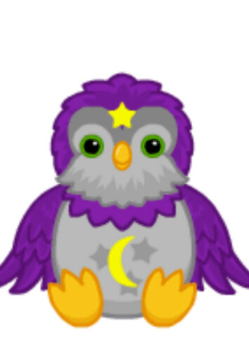Apprentice Owl