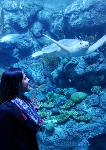 Aquarium of the Pacific