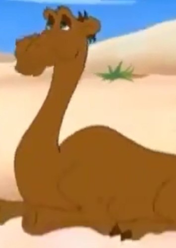 Arabian Desert Dromedary Camel