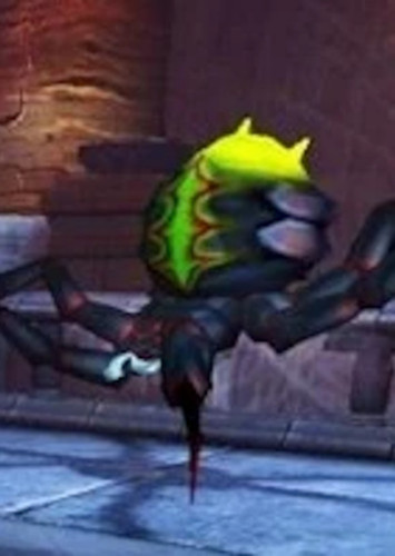 Arachnia