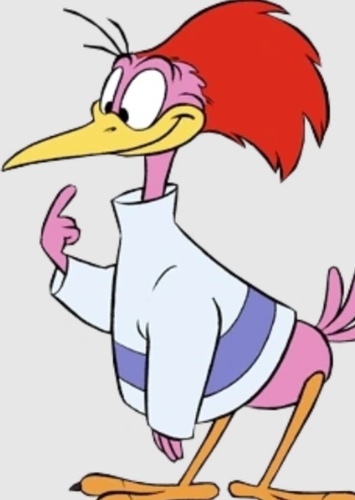 Aracuan Bird