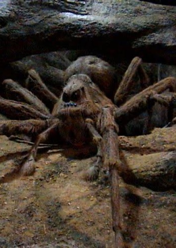 Aragog