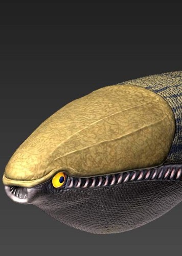 Arandaspis