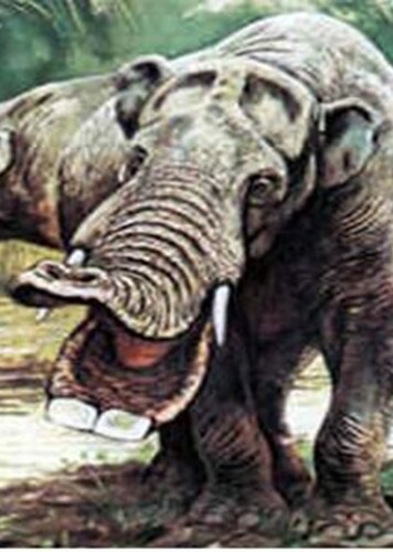 Archaeobelodon