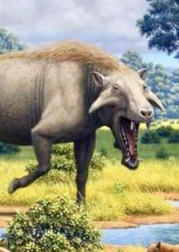 Archaeotherium