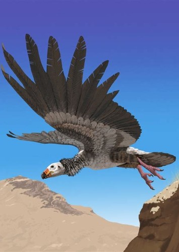 Argentavis