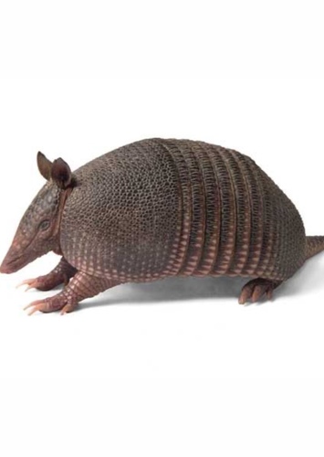 Armadillo