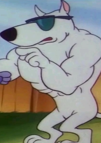 Arnold the Pitbull