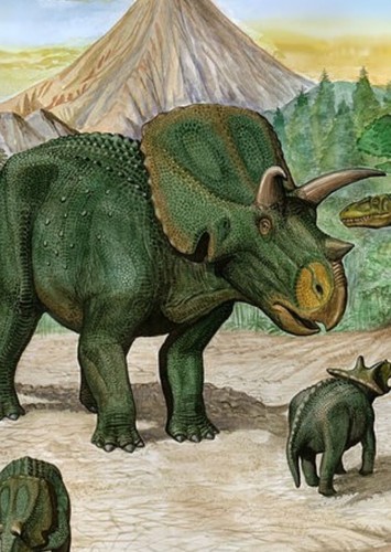 Arrhinoceratops