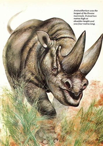 Arsinoitherium
