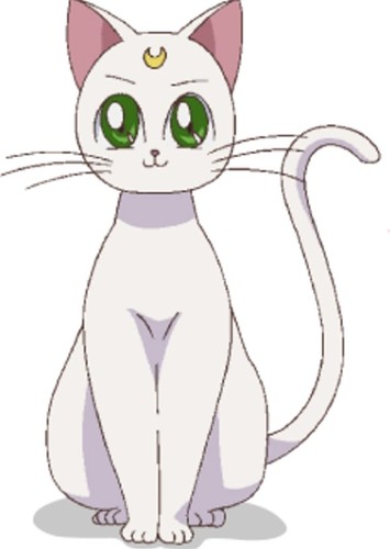 Artemis The Cat