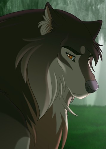Artic Wolf