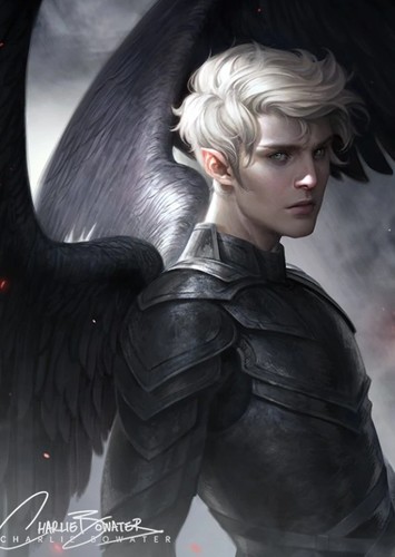Ash Morgenstern