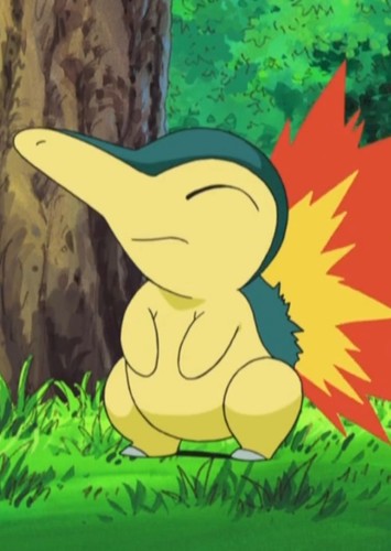 Ash's Cyndaquil