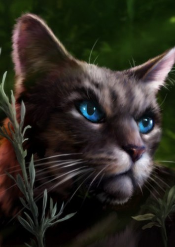 Ashpaw