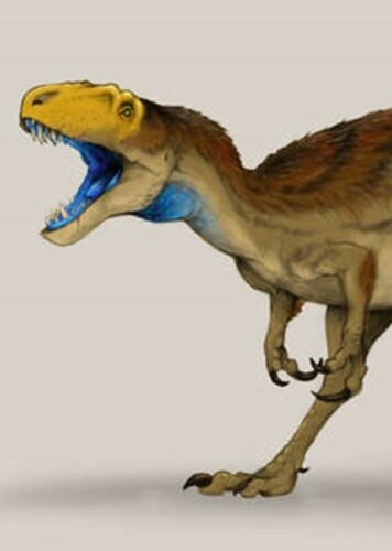 Asiatyrannus