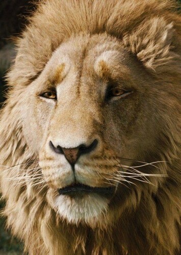 Aslan