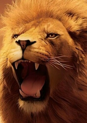 Aslan