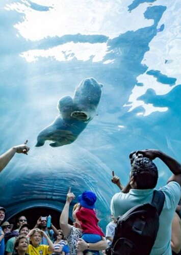 Assiniboine Park Zoo