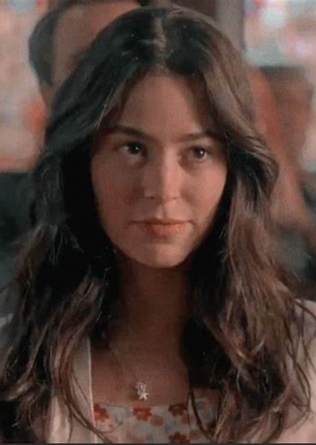 Aster Flores