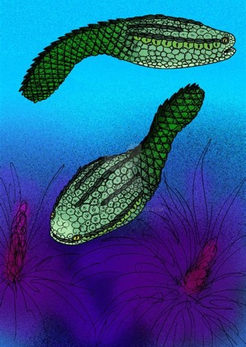 Astraspis