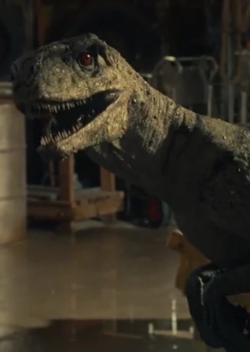 Atrociraptor