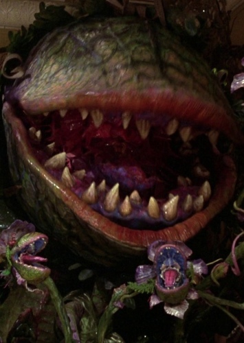 Audrey 2