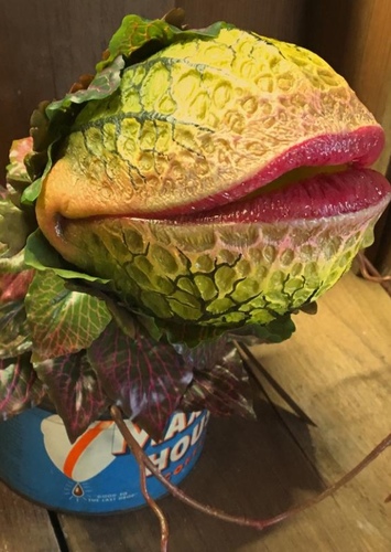 Audrey II