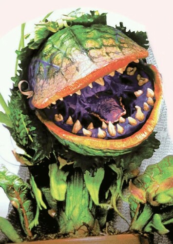 Audrey II