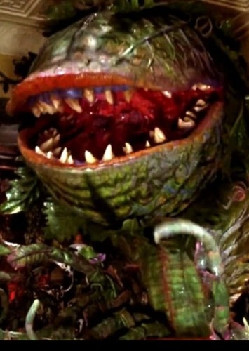Audrey II
