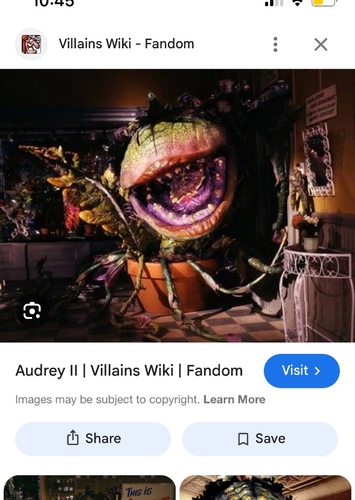 Audrey two