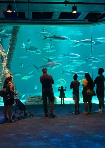 Audubon Aquarium of the Americas