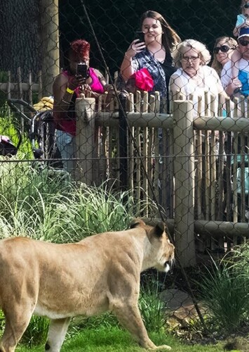 Audubon Zoo