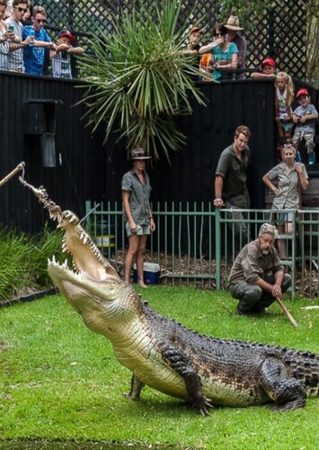 Australian Reptile Park