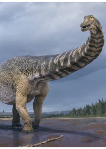 Australotitan