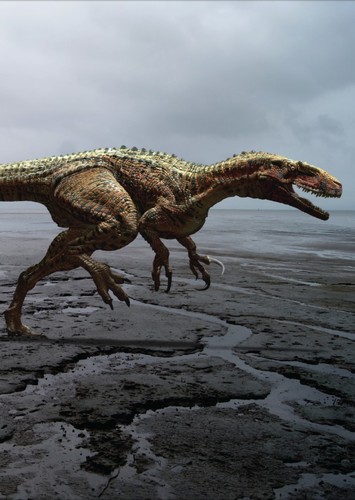 Australovenator