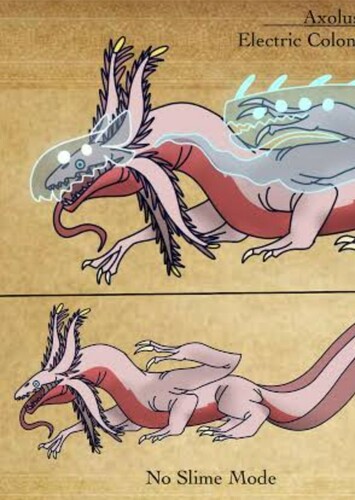 Axolotl Dragon