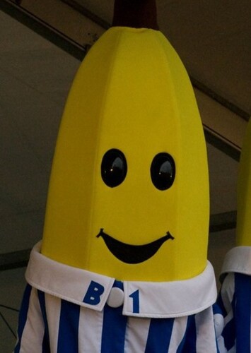 B1