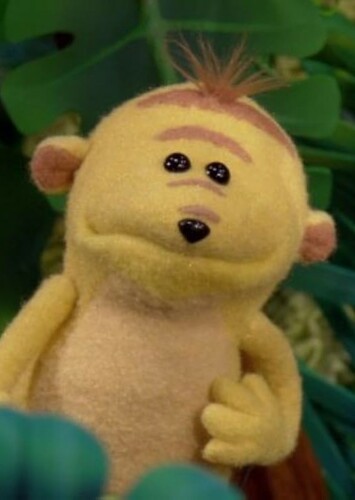 Babu The Meerkat