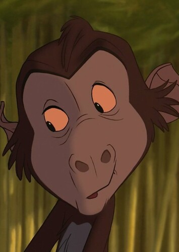 Baby Baboon