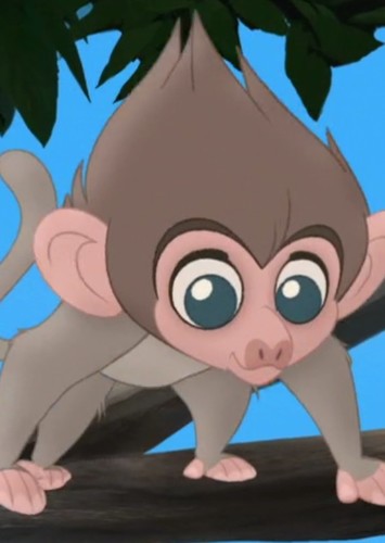 Baby Baboon