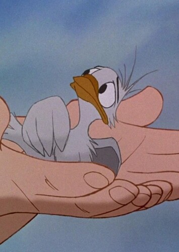 Baby Bird