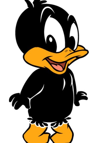 Baby Daffy